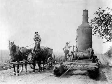 Donkey and water wagon