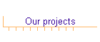 Our projects
